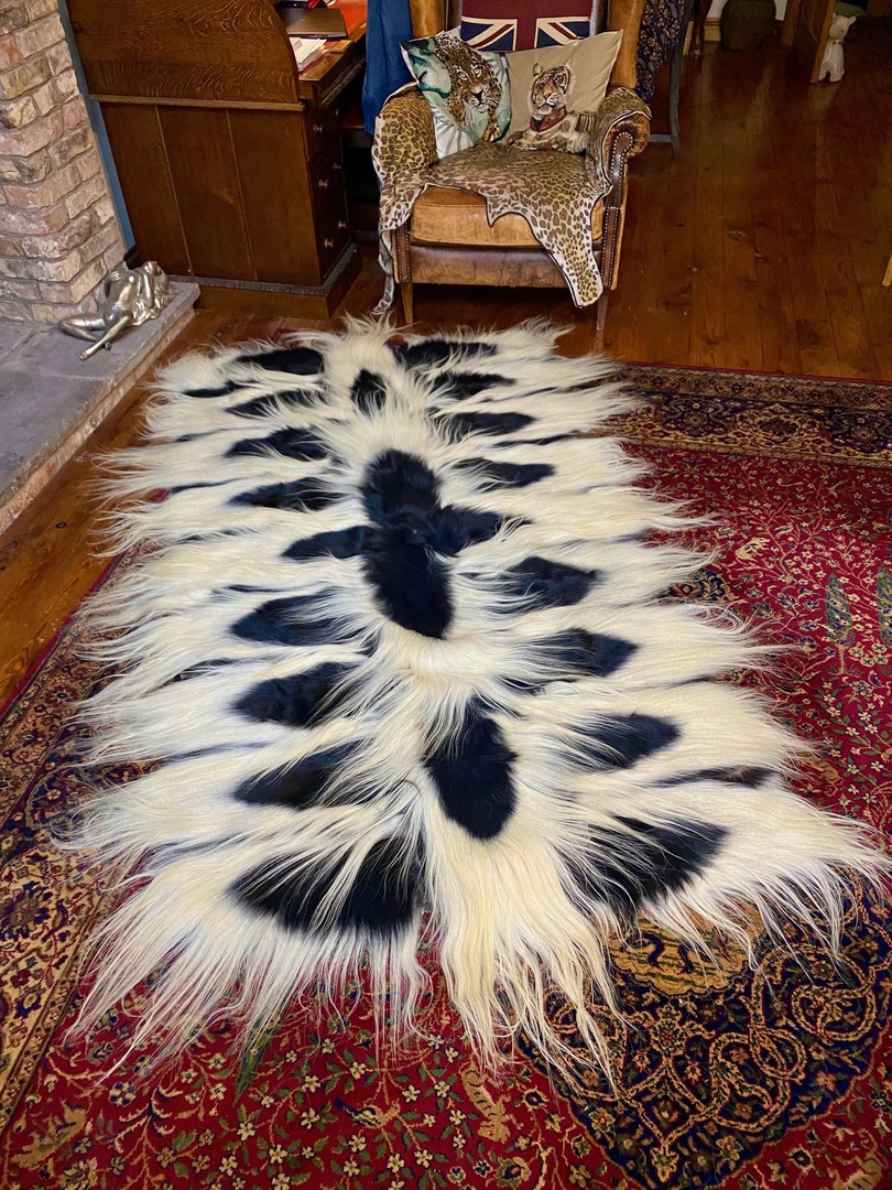 Taxidermy Emporium Ltd